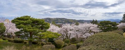 a view from Kenroku-en @f4.5 a7R2