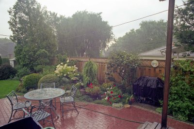 Backyard in rain Reala
