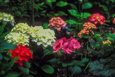 g12/62/611962/3/166517041.8YkbJRP6.jpg