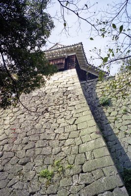 Matsuyama castle