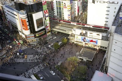 Shibuya Xrossing Reala