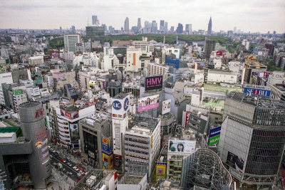A view from Shibuya Reala