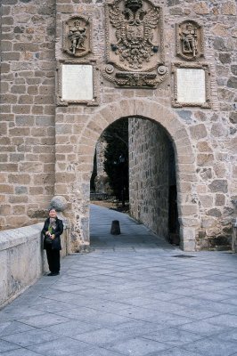 Gate of Toredo Provia 100 