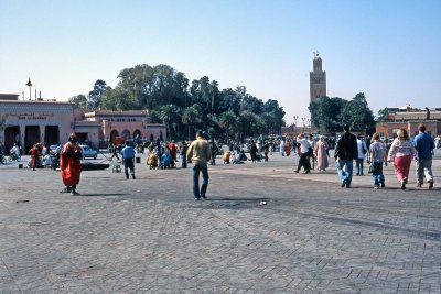 Marrakesh Provia 100