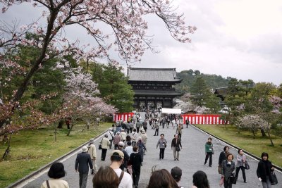at Ninna-ji in Kyoto