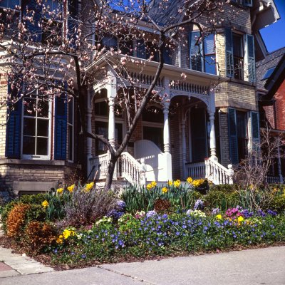 House with magnolia RDPIII