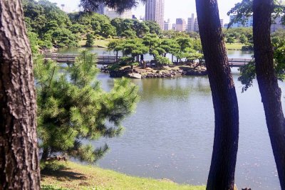 Hamarikyū park in Tokyo Reala