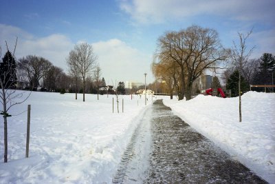 Park in winter Reala