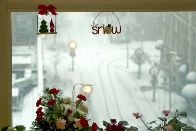 Let it snow ♪♪ @f5 D70