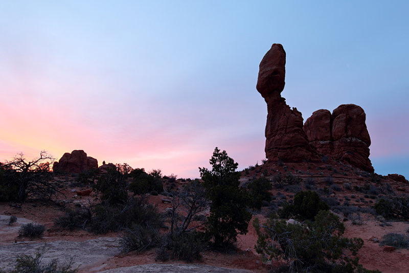 Pink Morning Light