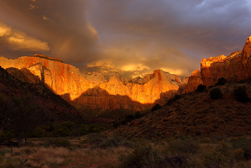 The Many Colors of a Zion Morning