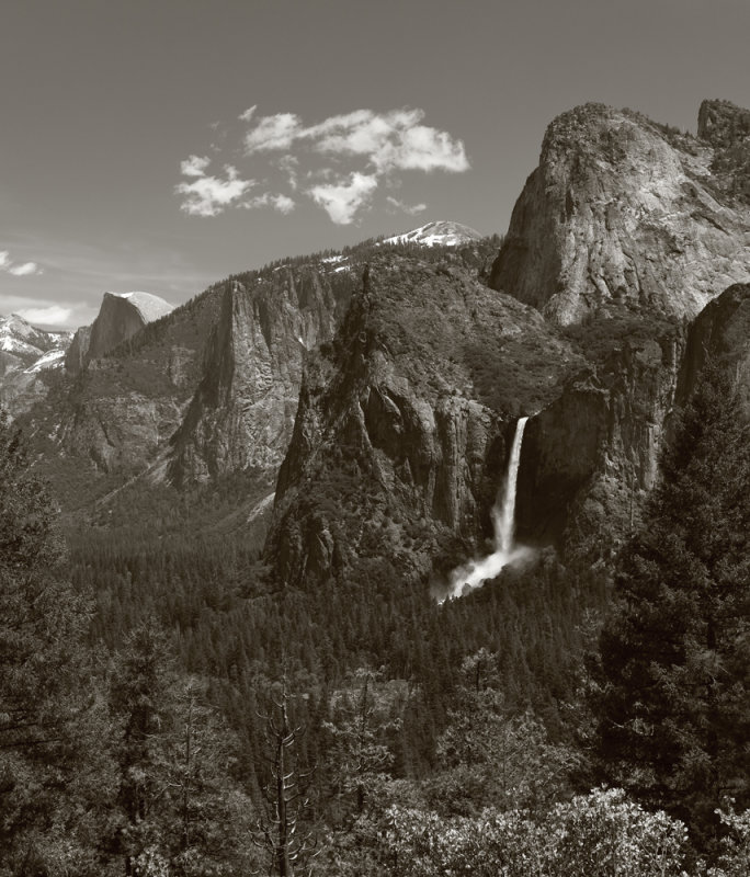 Adam's Yosemite