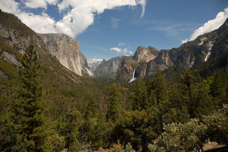 Yosemite Valley 2019