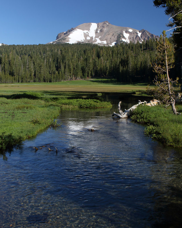 Morning Meadow Light