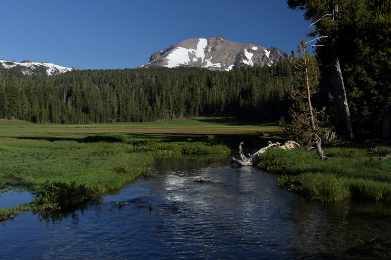 Cascades & Olympic Peninsula