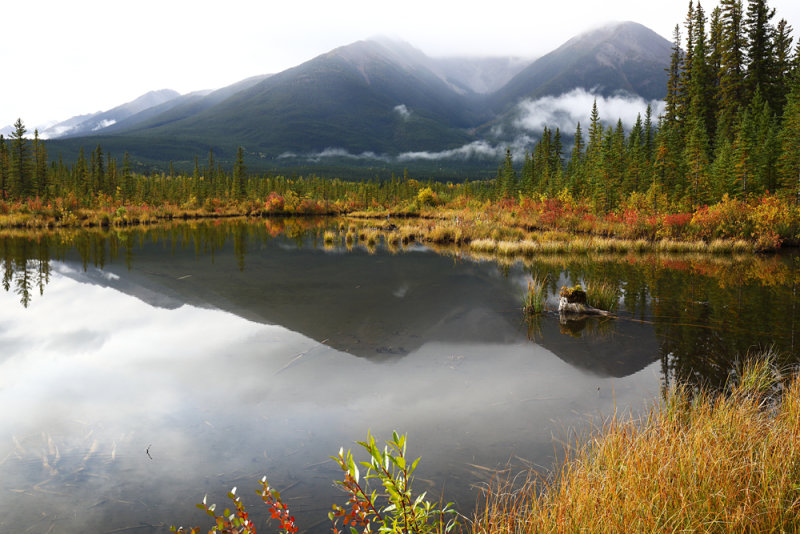 Banff Autumn Reflections