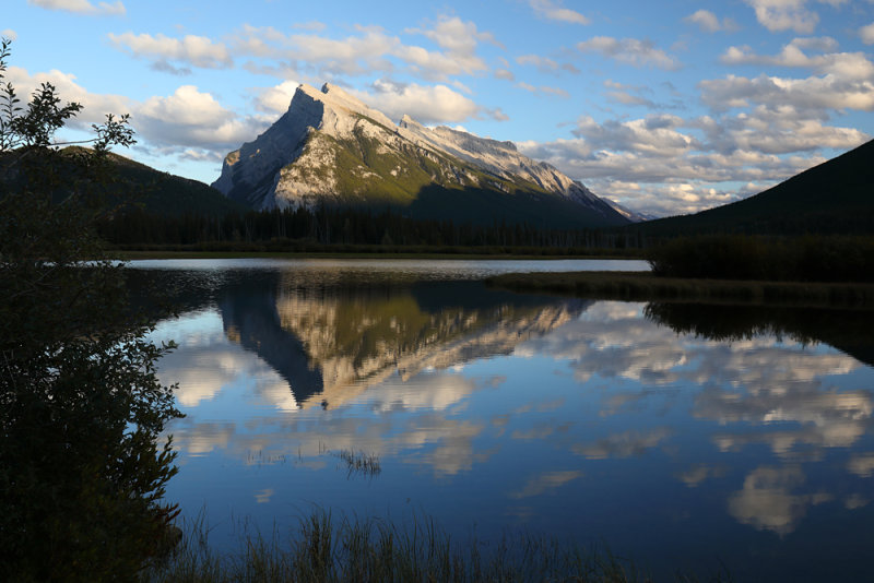 Canadian Rocky Mountain High
