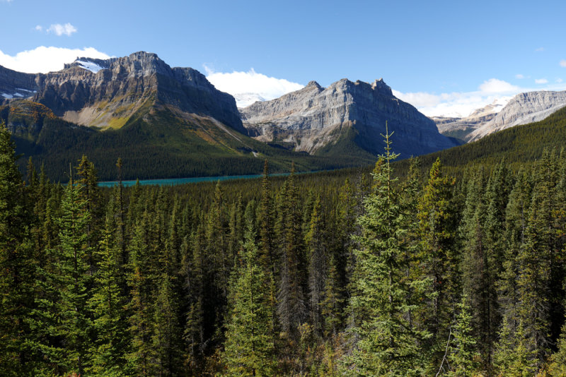 Canadian Green