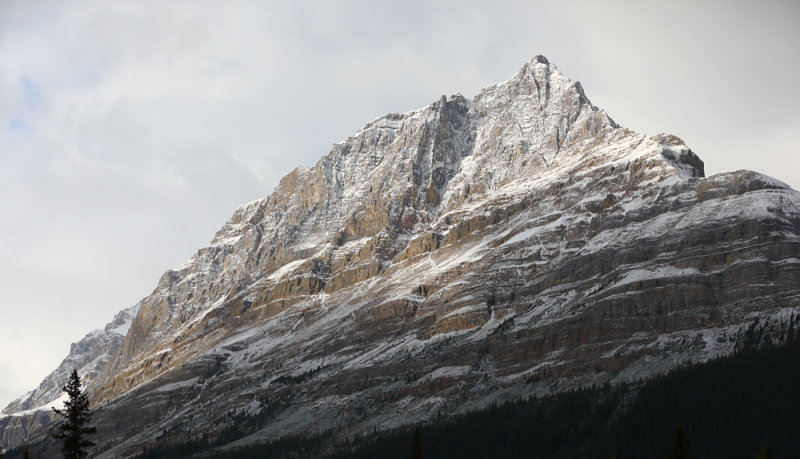 Early Autumn Snow