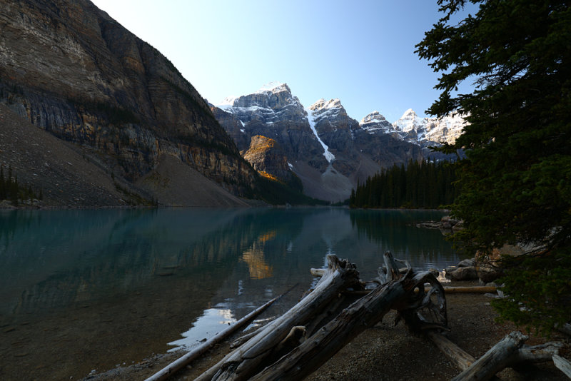 The Beautiful Stillness