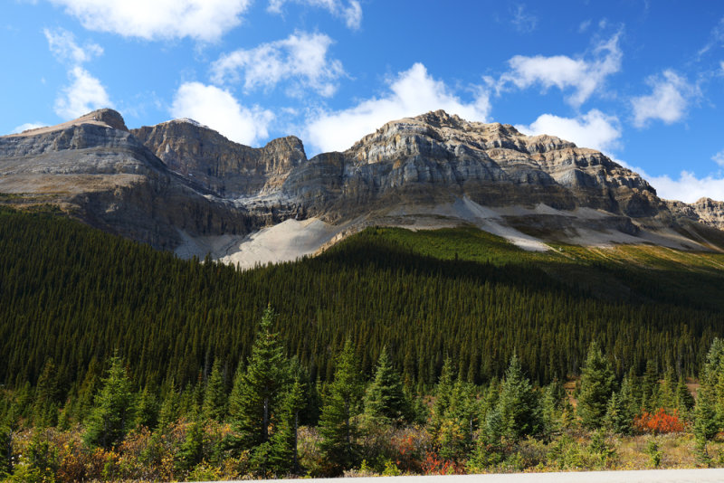 Mountain High Beauty