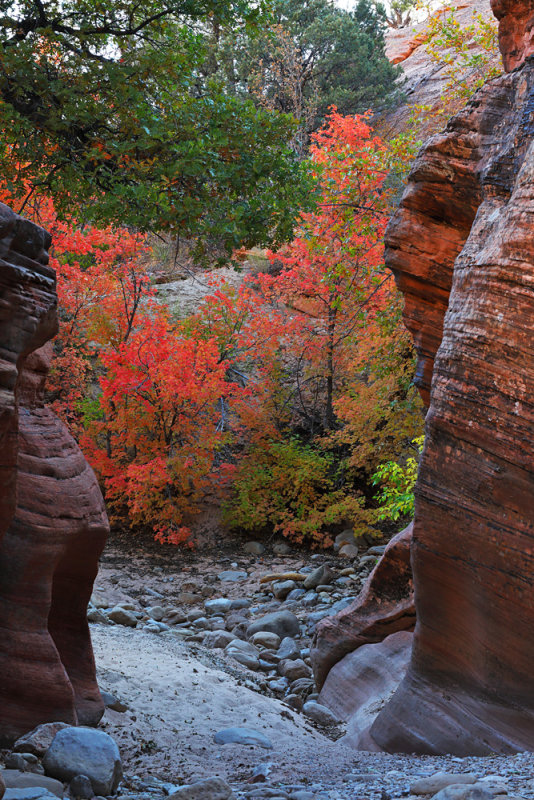 Between the Canyon Walls