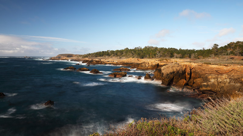 Point Lobos By the Sea