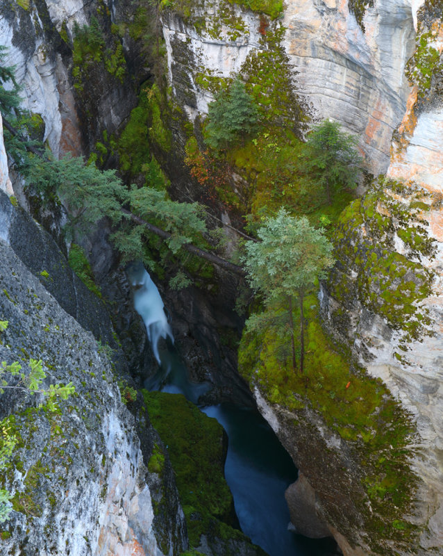 Deep Inside the Gorge
