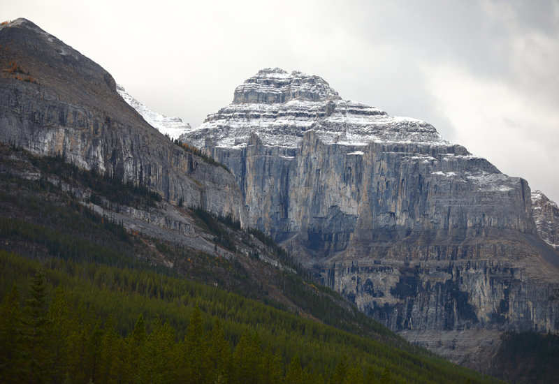 Treeline to the Alpine