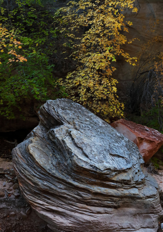 Autumn Among the Rocks