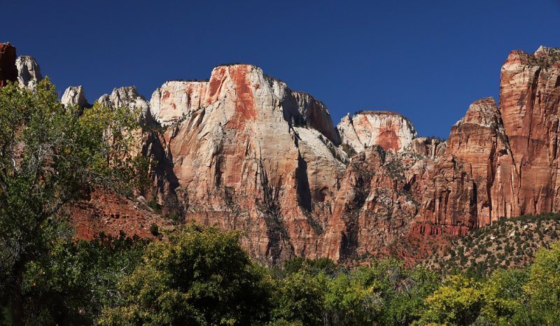 Canyon Rim High Above