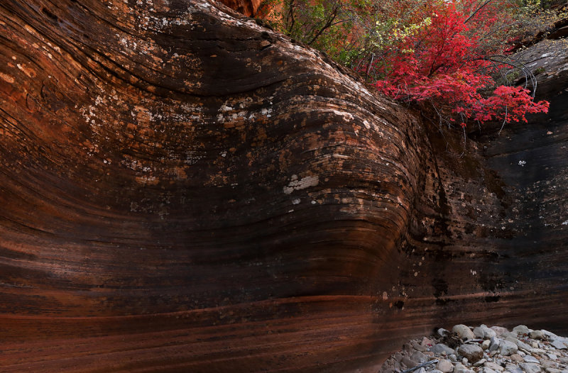 Color Spilling Into the Canyon