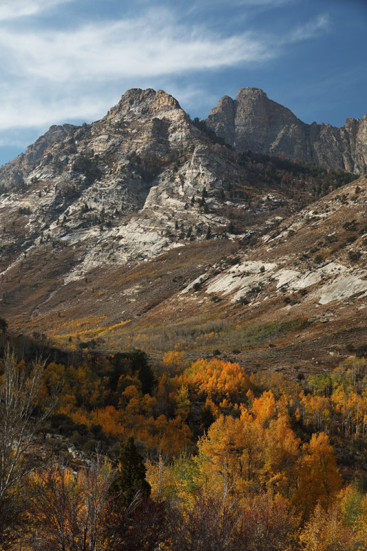 Ruby Mountain's Autumn Splendor
