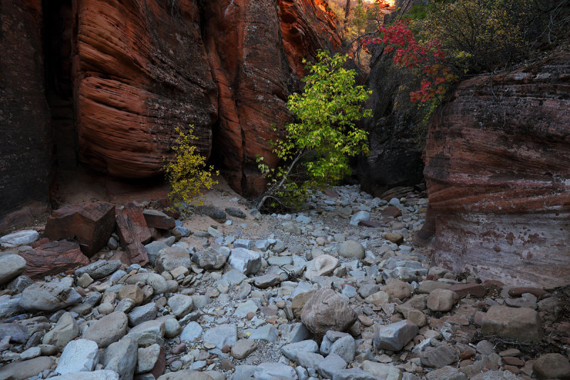 A Rocky Path of Unknowns