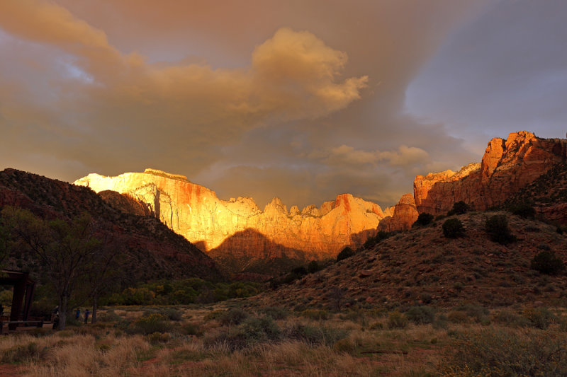 Last of the Golden Morning Light