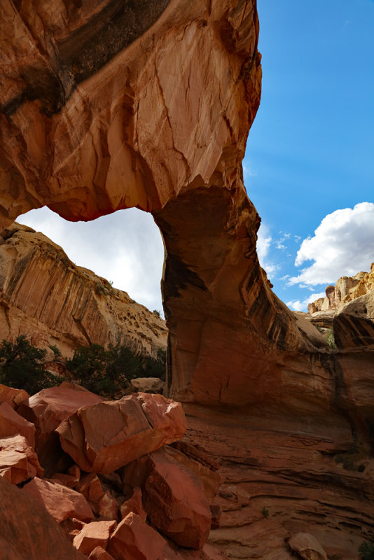 Under the Arch