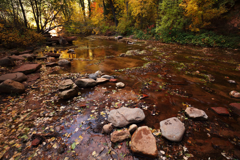 Autumn on the West Fork
