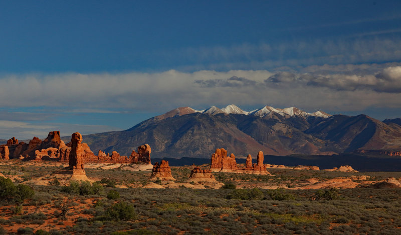 Late Afternoon Light