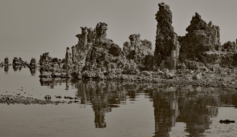 Ruins of a Dying Lake