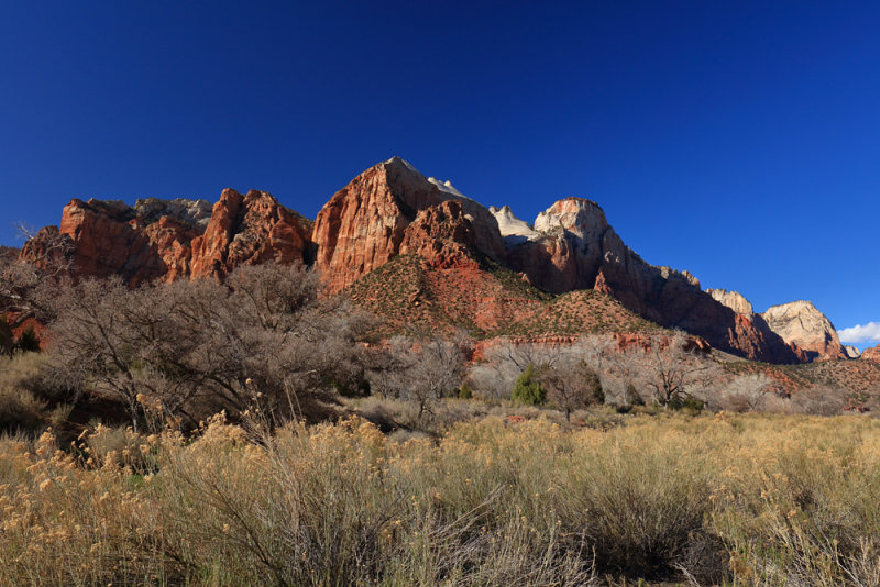 Dormant Trees & Colorful Mountains Winter's End in Zion 