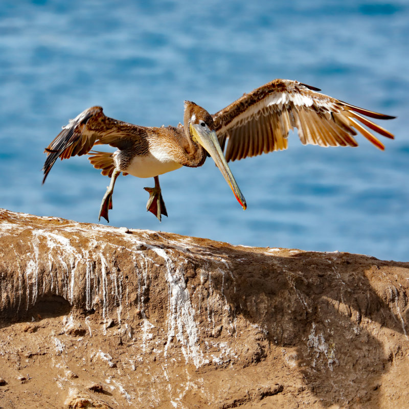 Takeoff 