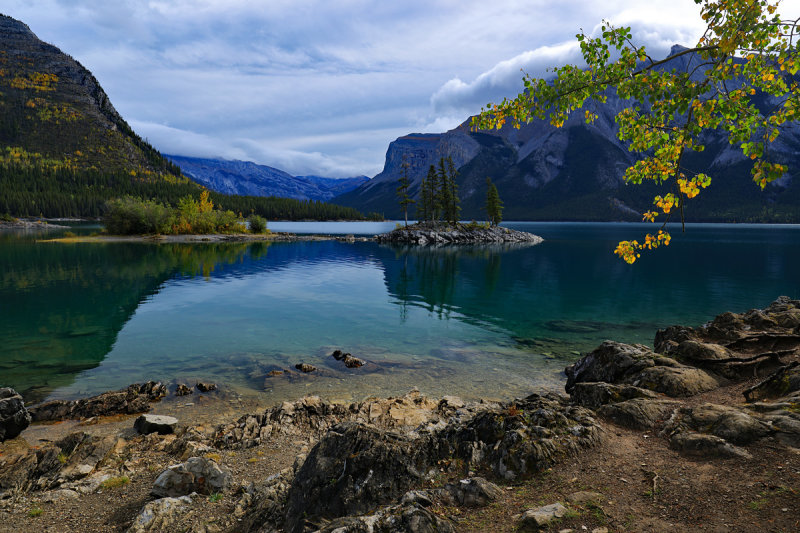 Calm Beauty