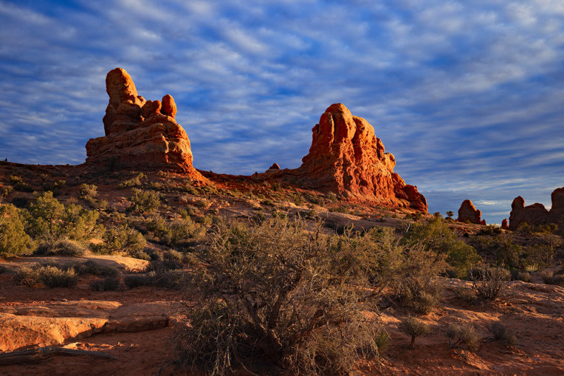 Early Evening Desert Color