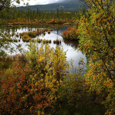 Banff Autumn Beginnings