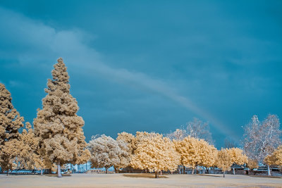 Rainbow in 590nm