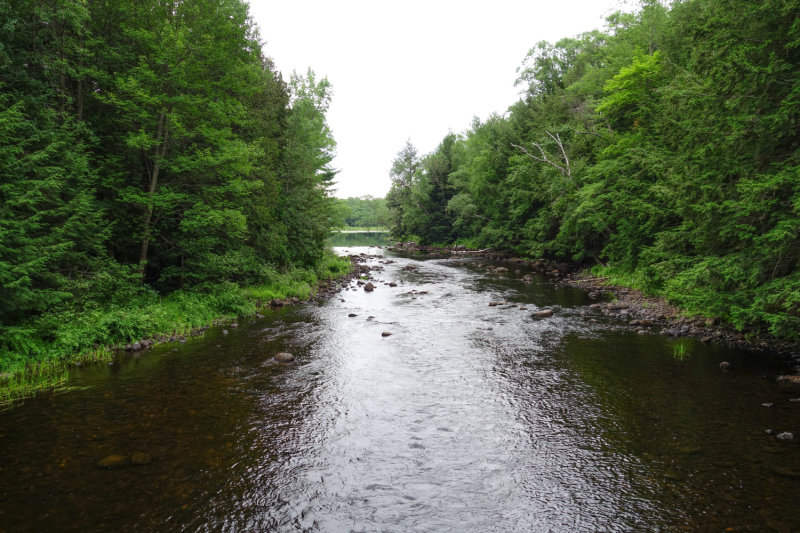 Restoulle July 2020_45.JPG