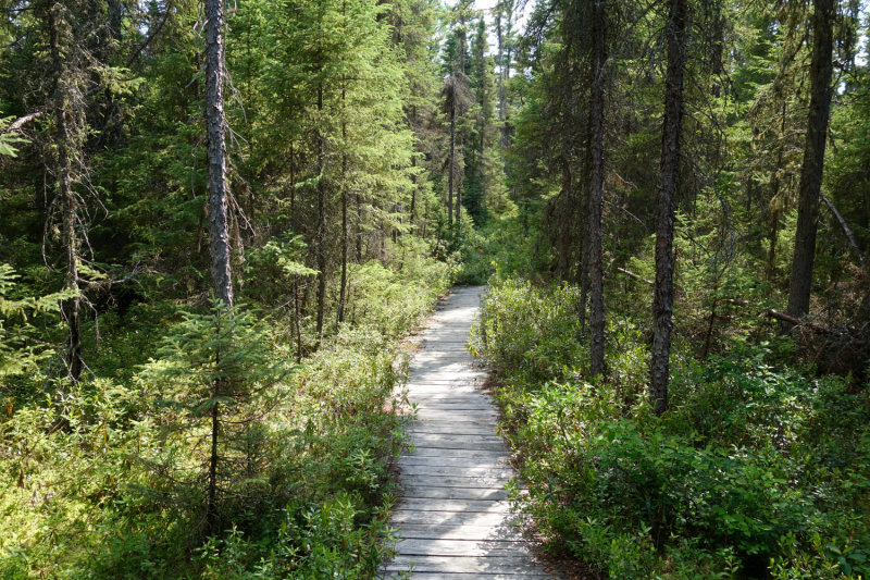 Martin River July 2020_23.JPG