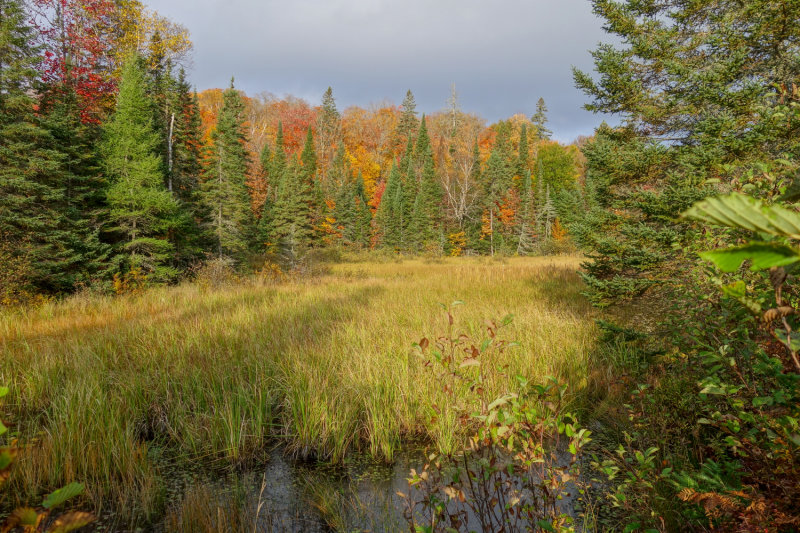 ALQ PK Oct 2020_06.JPG