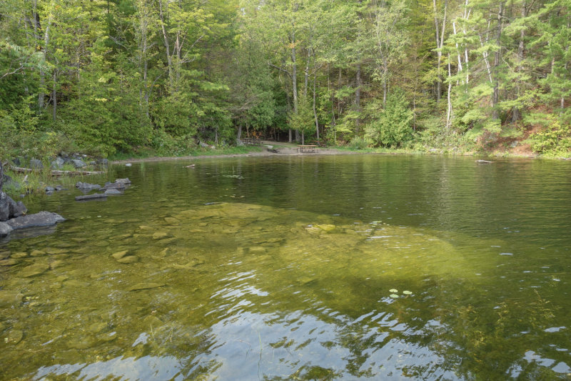 Sharbot Lake Sept 2020_03.JPG