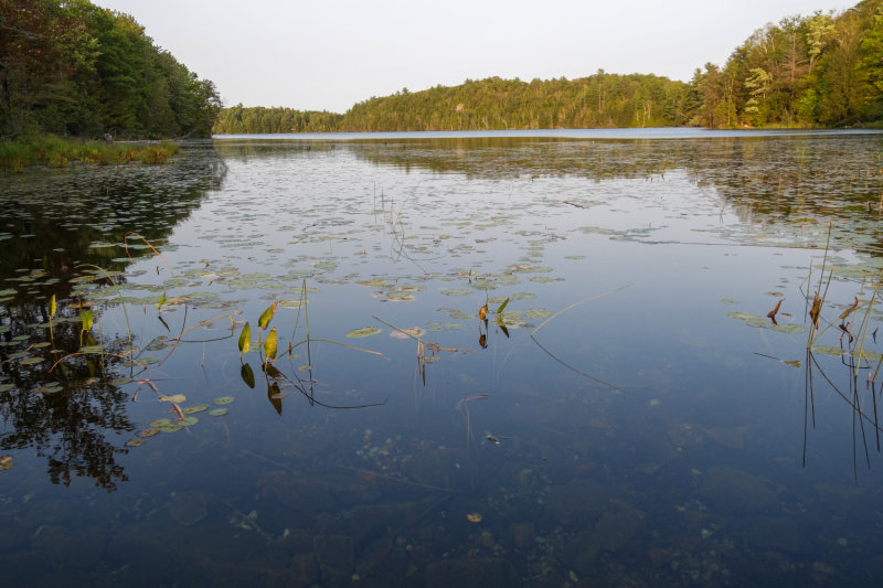 Sharbot Lake Sept 2020_12.JPG